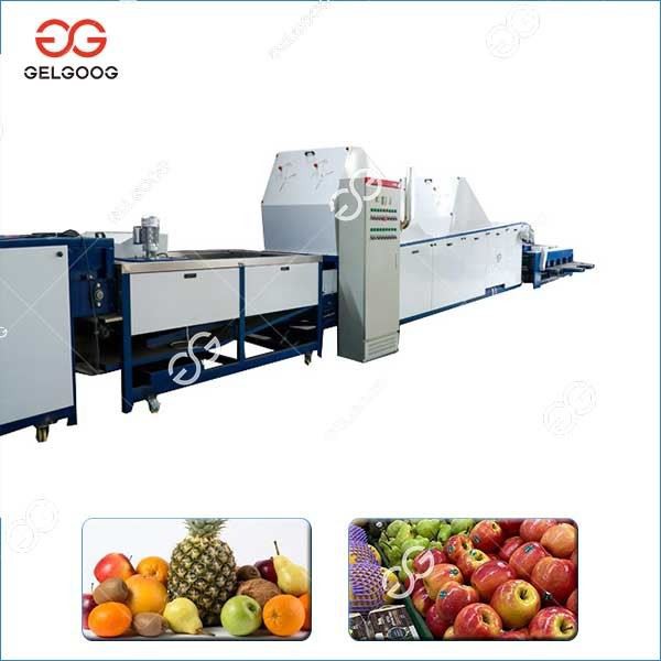 Automatic Fruit Waxing Machine Line