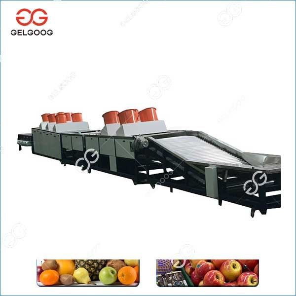 Automatic Fruit Waxing Machine Line