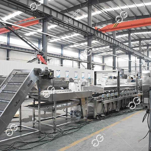 French Fries Plant 300 Kg/h