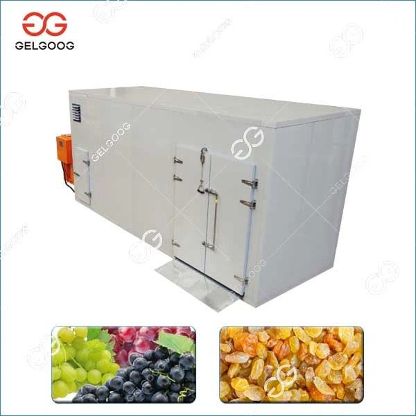 Rasin Drying Machine