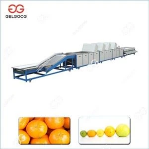 Automatic Citrus Grading Machinery