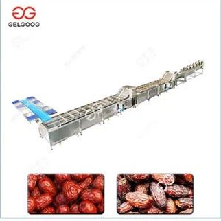 Automatic Dates Cleaning Drying Machine Line|Dates Washer and Dryer