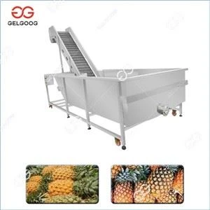 Industrial Pineapple Washing Machine
