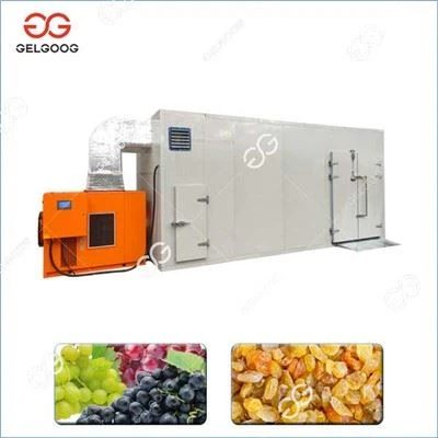 Rasin Drying Machine