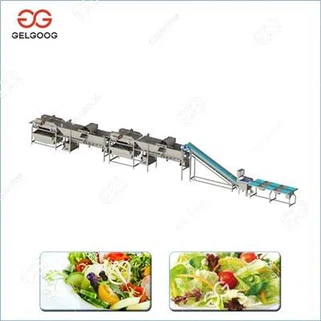 Salad Processing Line