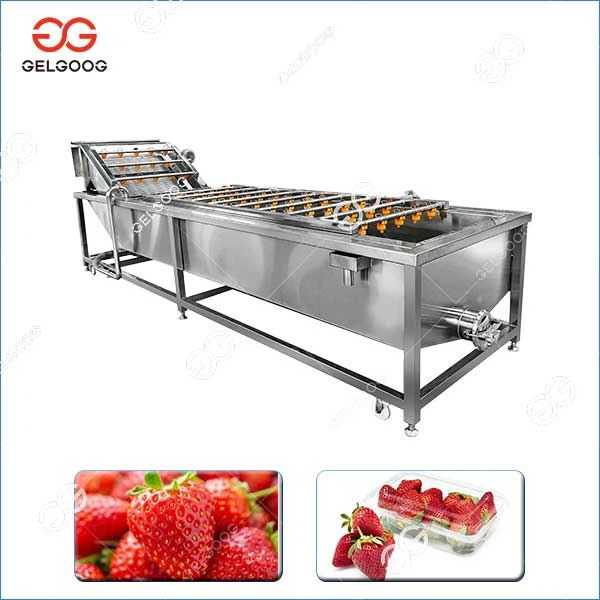 Strawberry Washing Machine Manufacturer