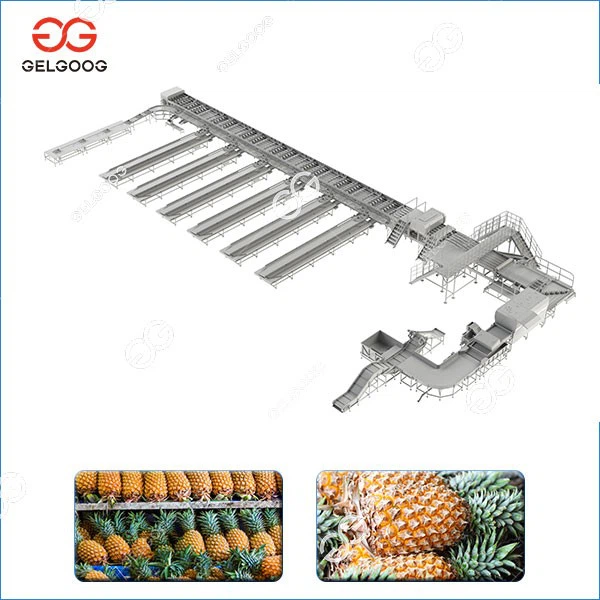 Pineapple Washing Sorting Processing Line best
