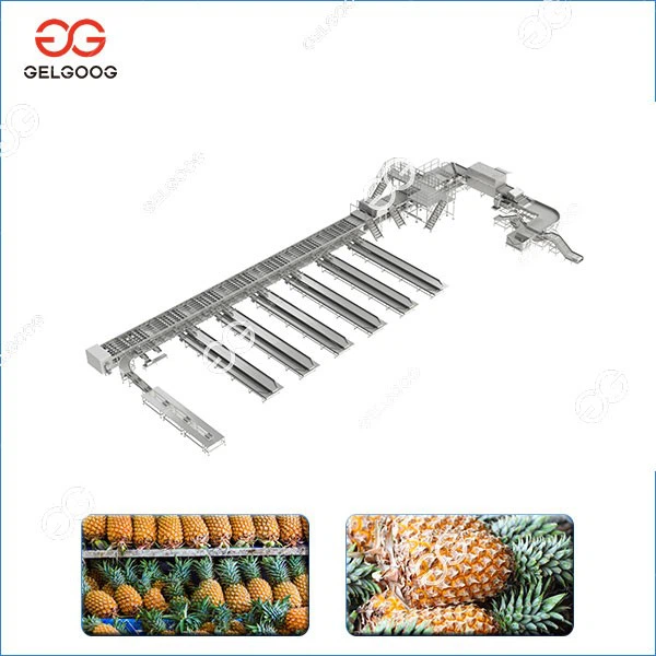 Pineapple Washing Sorting Processing Line factory