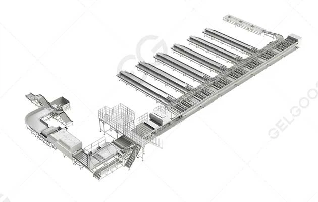 mango-washing-sorting-line mango-washing-sorting-line