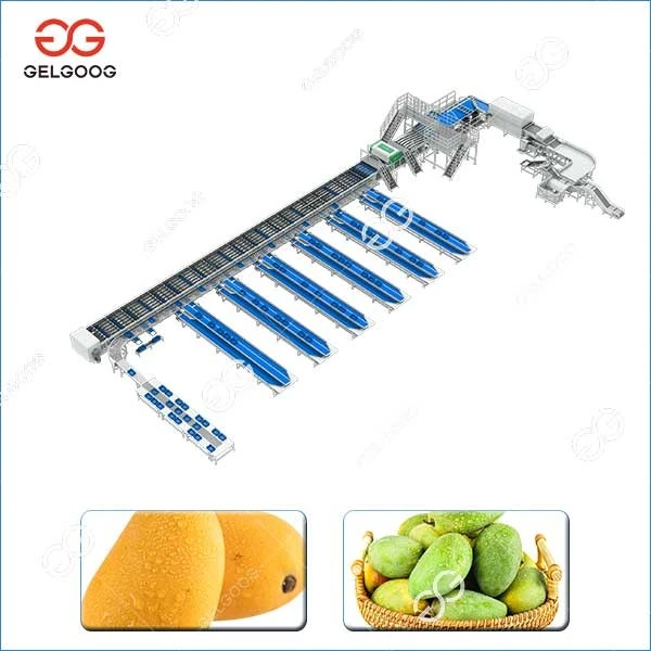 Mango Sorting Line factory