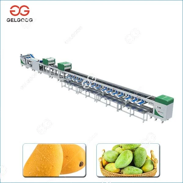 Mango Sorting Line suppliers