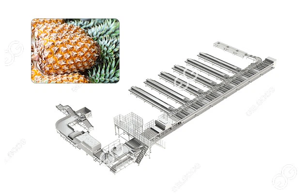 pineapple-cleaning-and-sorting-processing-line pineapple-cleaning-and-sorting-processing-line