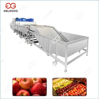 Fruit Processing Line