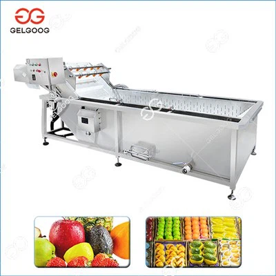 Fruit Washing Machine