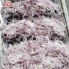 Can an onion frying line be remotely controlled?