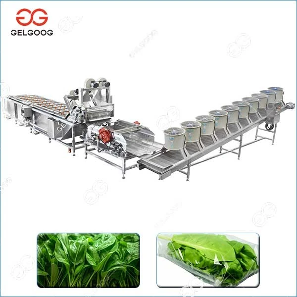 Vegetable Washing Line